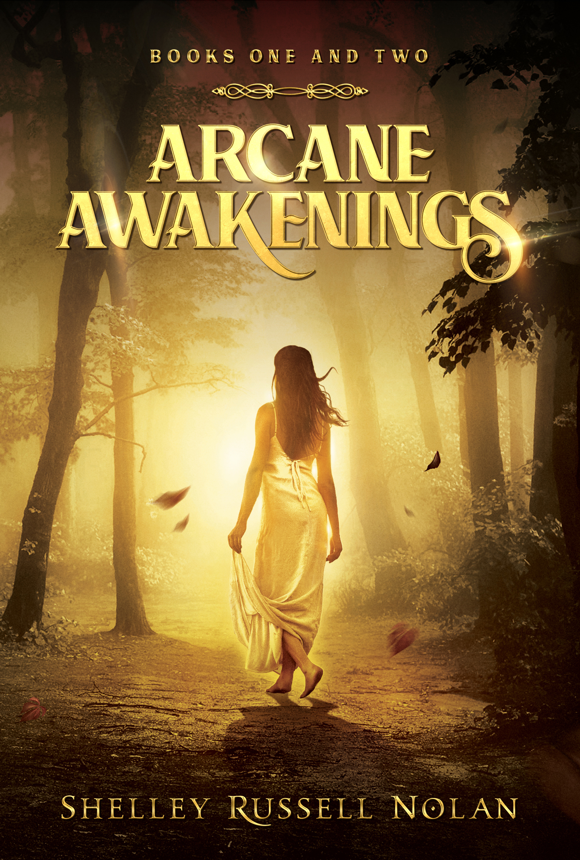 ArcaneAwakenings_book1and2_Final